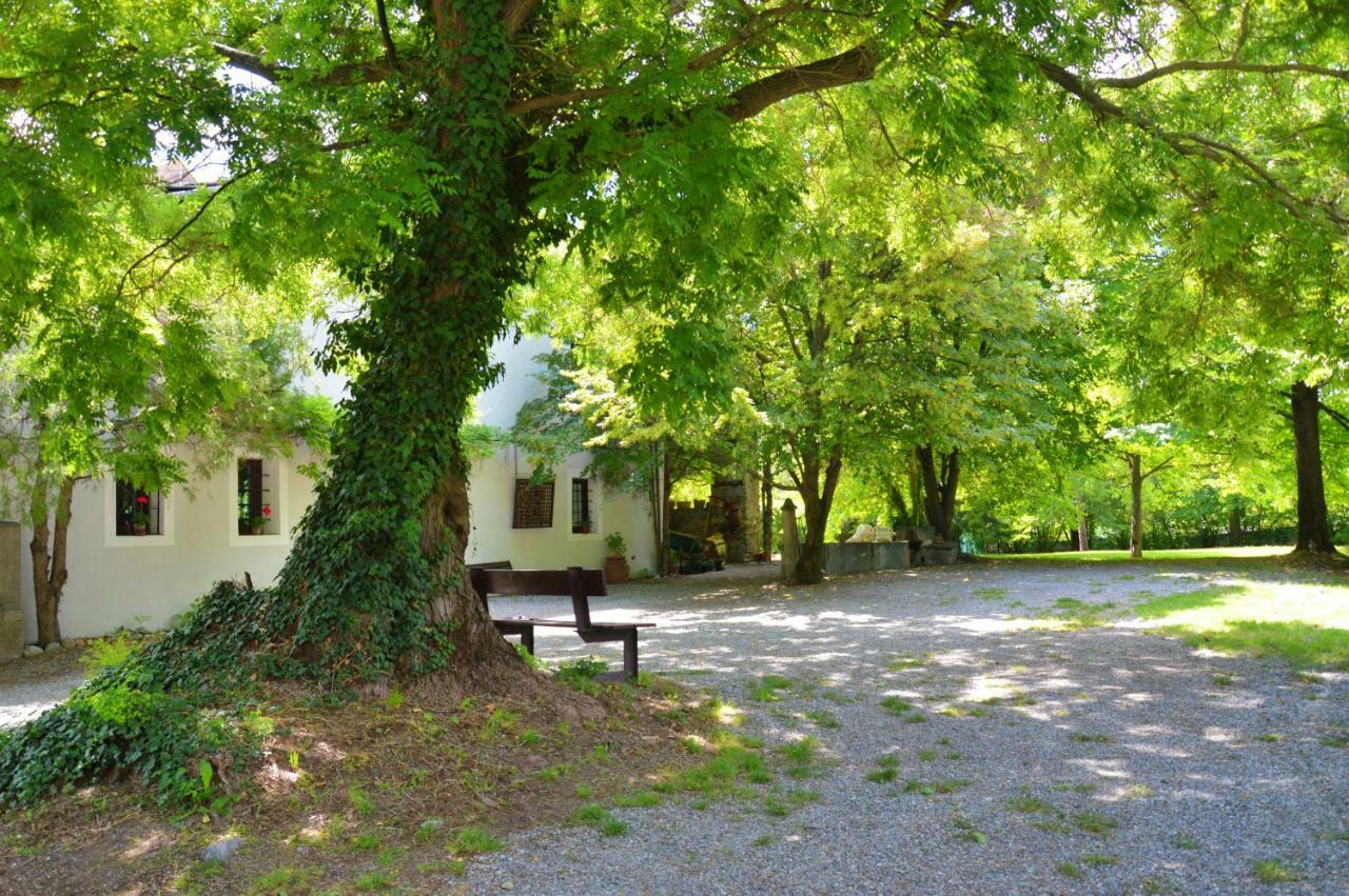 アオスタCascina Des Religieusesアパートメント エクステリア 写真